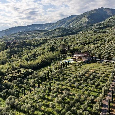 Ampio appartamento completamente rinnovato con vista e piscina Lucca Esterno foto